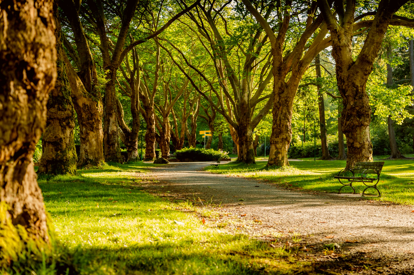 Zeleň a park v okolí Horních Heršpic u řeky Svratky